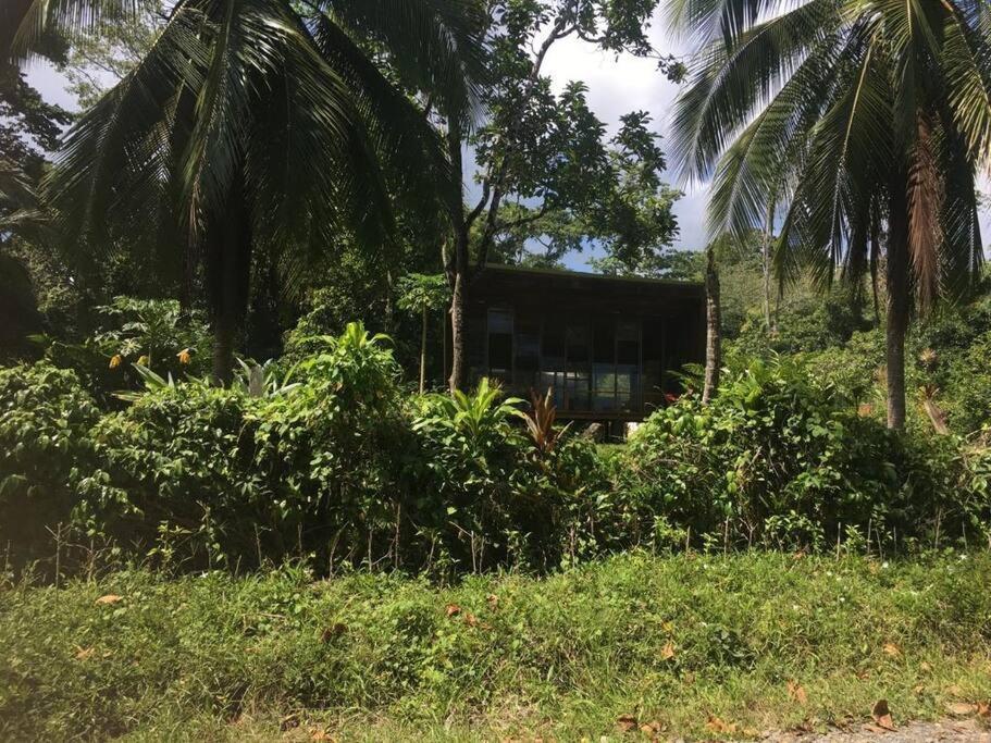 Сasa de vacaciones Casa Kike Cahuita Puerto Viejo de Talamanca