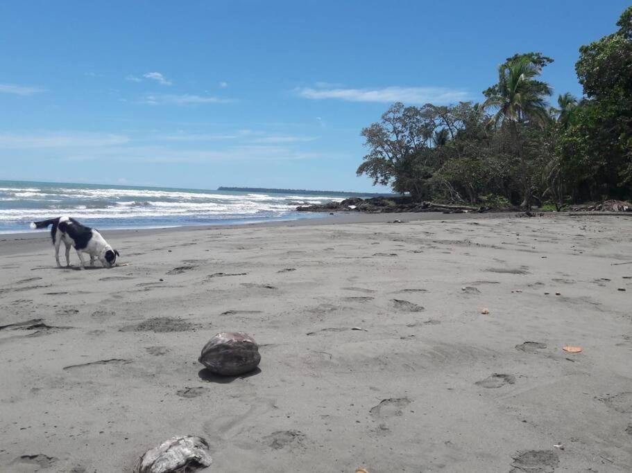 Casa Kike Cahuita Сasa de vacaciones