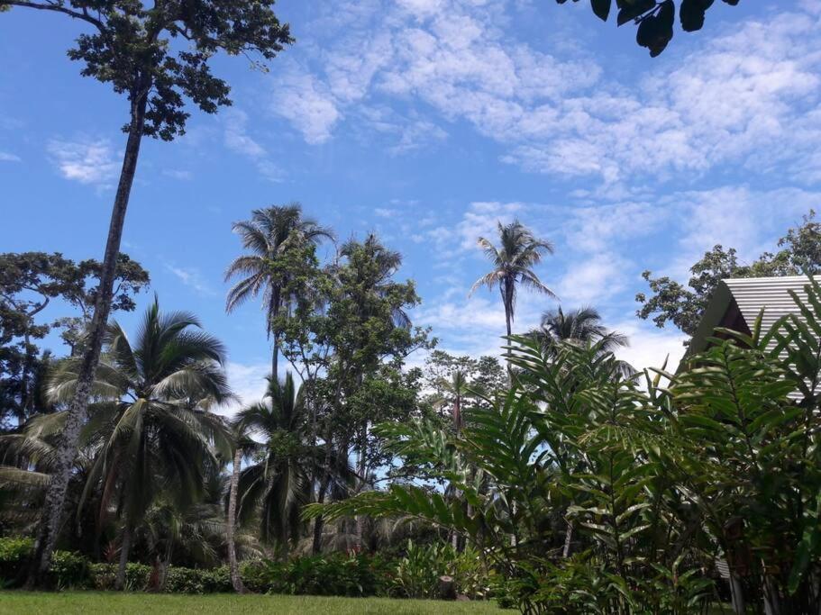 Casa Kike Cahuita Puerto Viejo de Talamanca